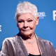 Illustration for article titled Judi Dench Calls iCats/i Costume Like Five Foxes Fucking On My Back